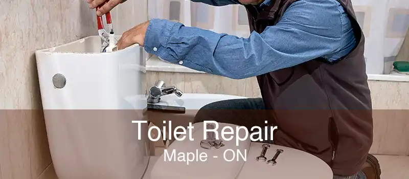 Toilet Repair Maple - ON