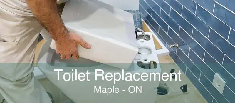 Toilet Replacement Maple - ON