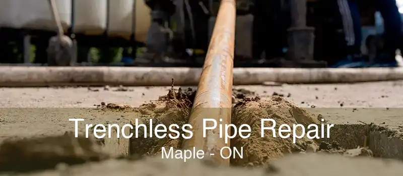 Trenchless Pipe Repair Maple - ON