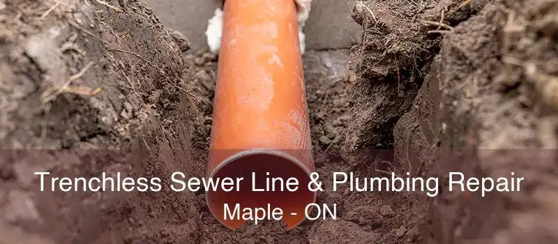 Trenchless Sewer Line & Plumbing Repair Maple - ON