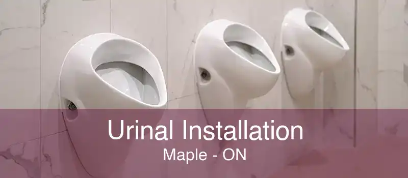 Urinal Installation Maple - ON