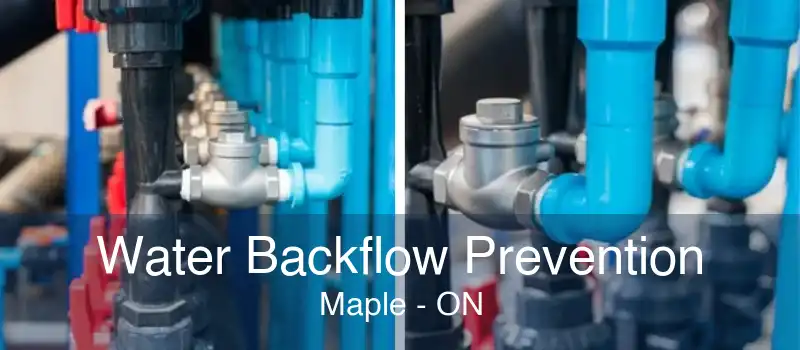 Water Backflow Prevention Maple - ON