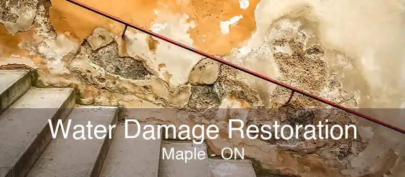 Water Damage Restoration Maple - ON