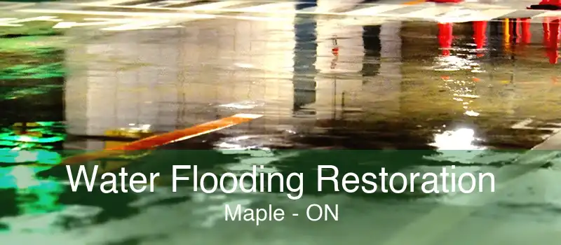 Water Flooding Restoration Maple - ON