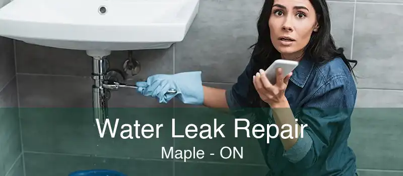 Water Leak Repair Maple - ON