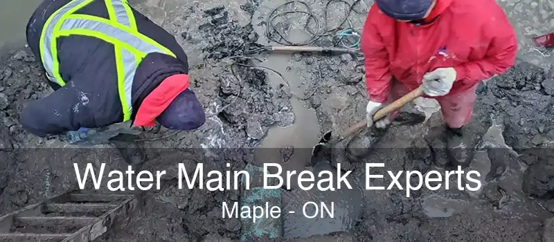 Water Main Break Experts Maple - ON