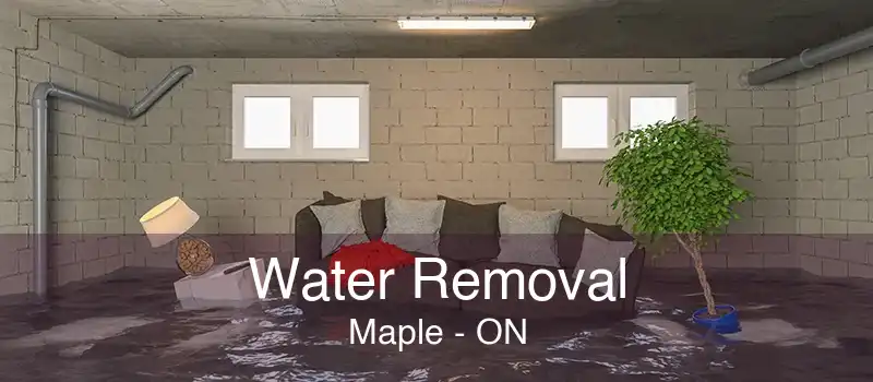 Water Removal Maple - ON