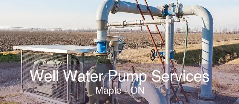 Well Water Pump Services Maple - ON